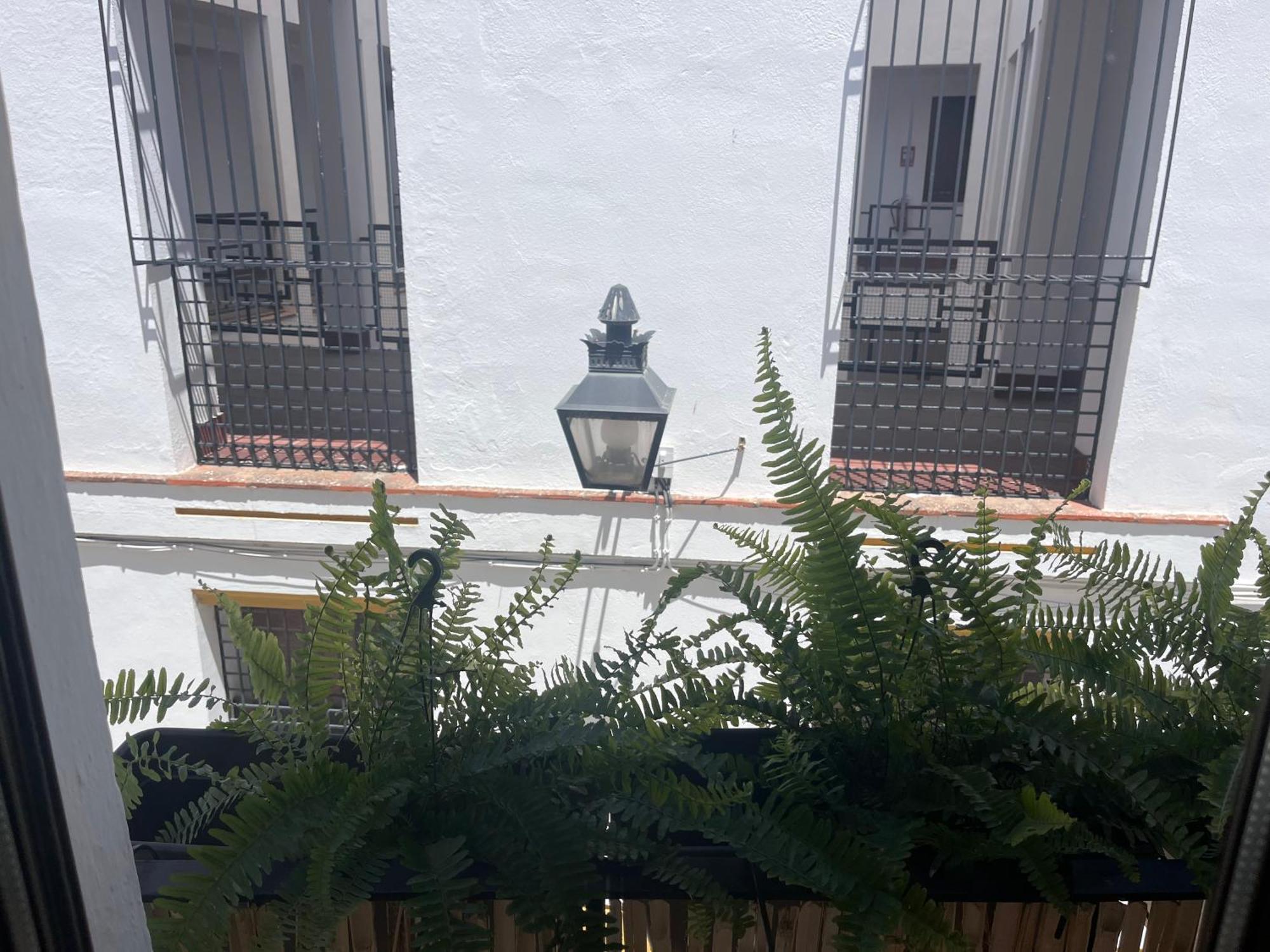 Mucho Trigo Apartments New Córdoba Kültér fotó